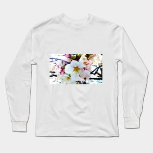 Photography - Vintage sakura Long Sleeve T-Shirt